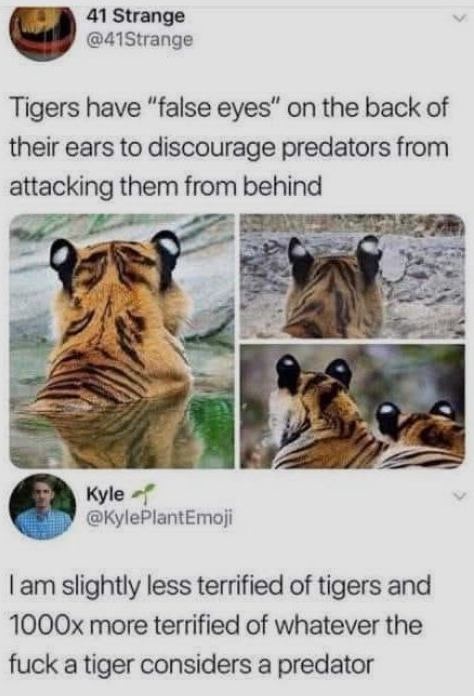 be353e18-45d9-4fe1-a95d-ed772f60ad4e