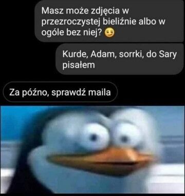 6d36ad95-61c2-4dd6-8c2d-7dbffe2cd75e