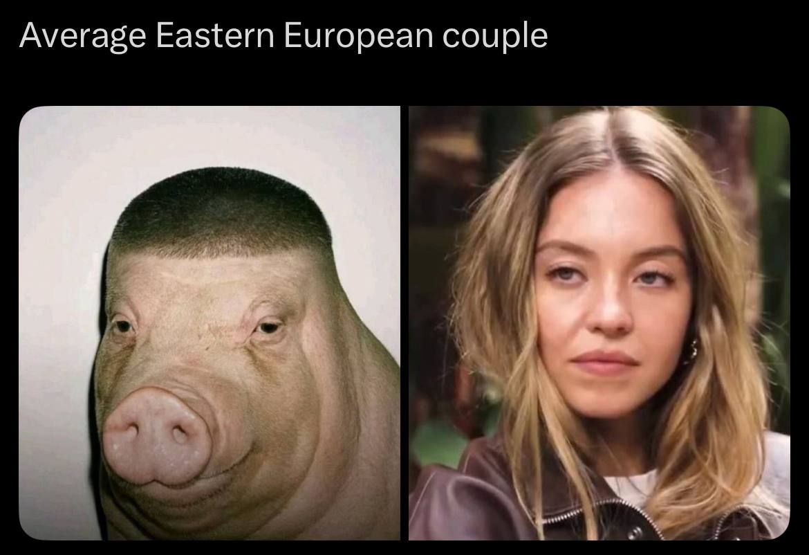 fd426860-0340-41a1-bbac-a6412a47231f