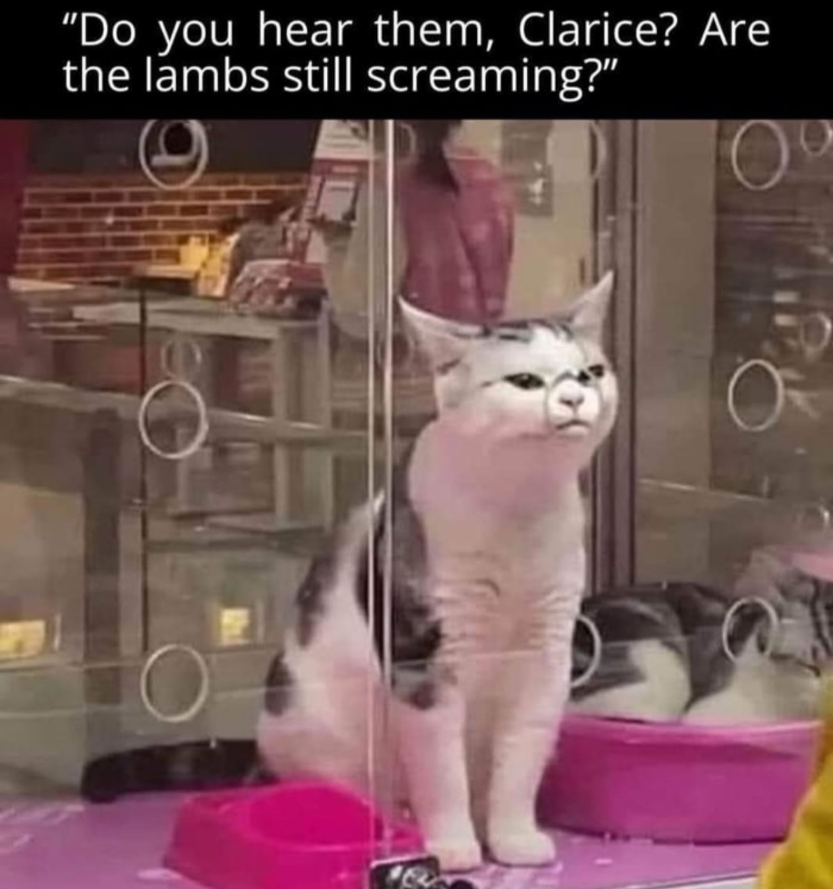 17b65618-6170-47d6-9128-a694c8010965