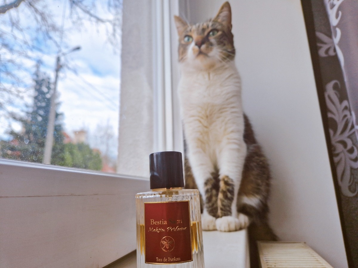 20c6da3c-1027-4319-a8b6-30a826e21673