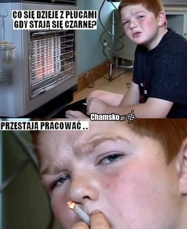 af279343-78ca-4536-89a8-180b8232de42