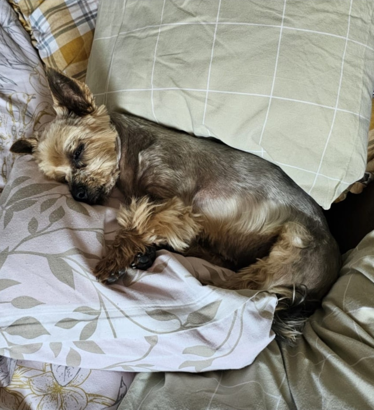 bf32c306-2956-4b09-808a-cdf17d9dd643