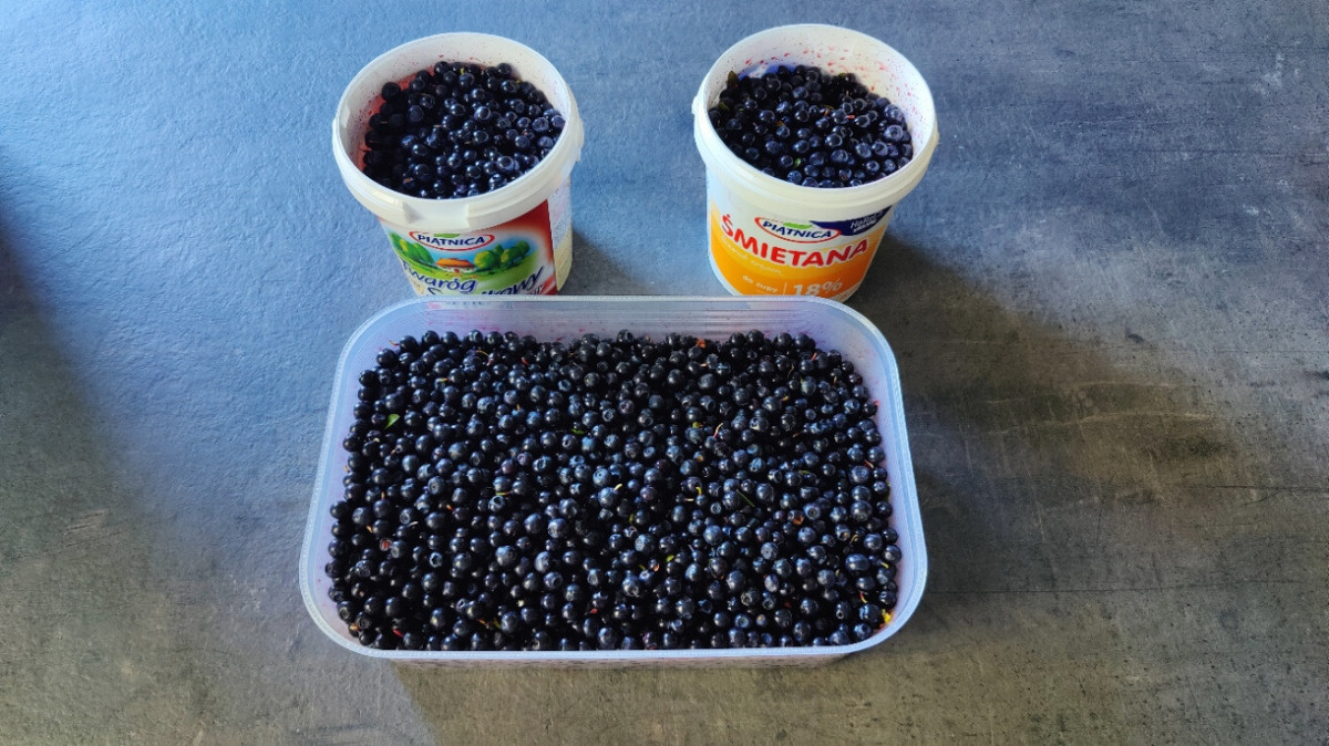 307db4ca-ad94-4f9e-b592-123243c9cc4b