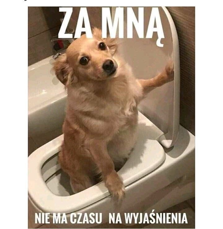 2e1ff3f0-38a4-4f6d-b85d-60c117b67268