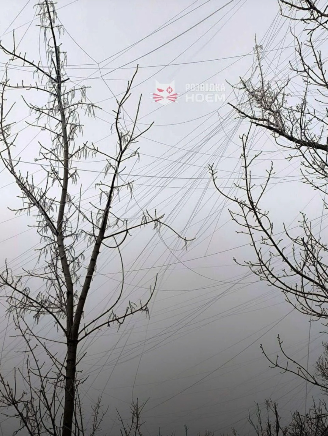 11a666aa-ce77-4d6a-b03a-b5017b6b3544