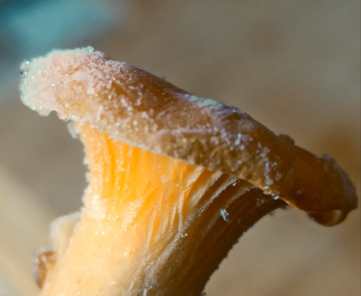 9098eee8-d52b-44d4-ab7a-d707af6ef622