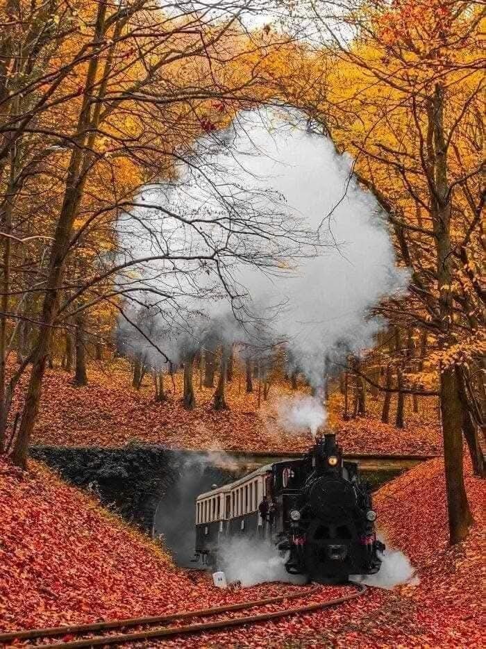 7f66907e-75c1-482d-adbd-220d59cecffa