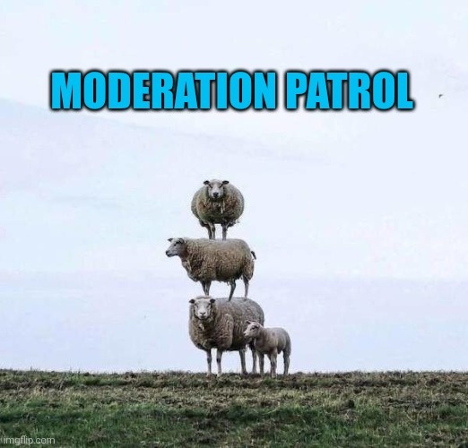 ca08f805-4730-493c-9ce3-53ec221698ed