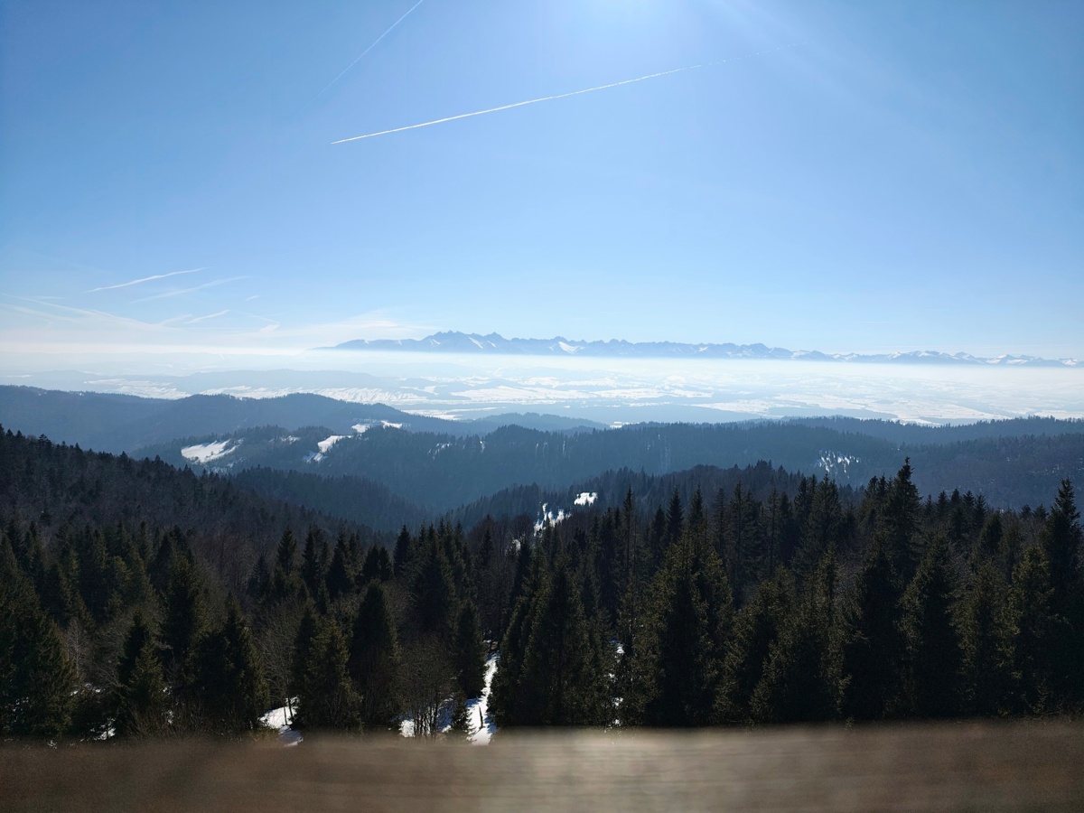 3b4ad669-38ba-4acf-bed0-ef732cdbae6d