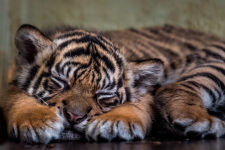 86368dcb-fa81-4cab-94d0-6c45ecb925ef