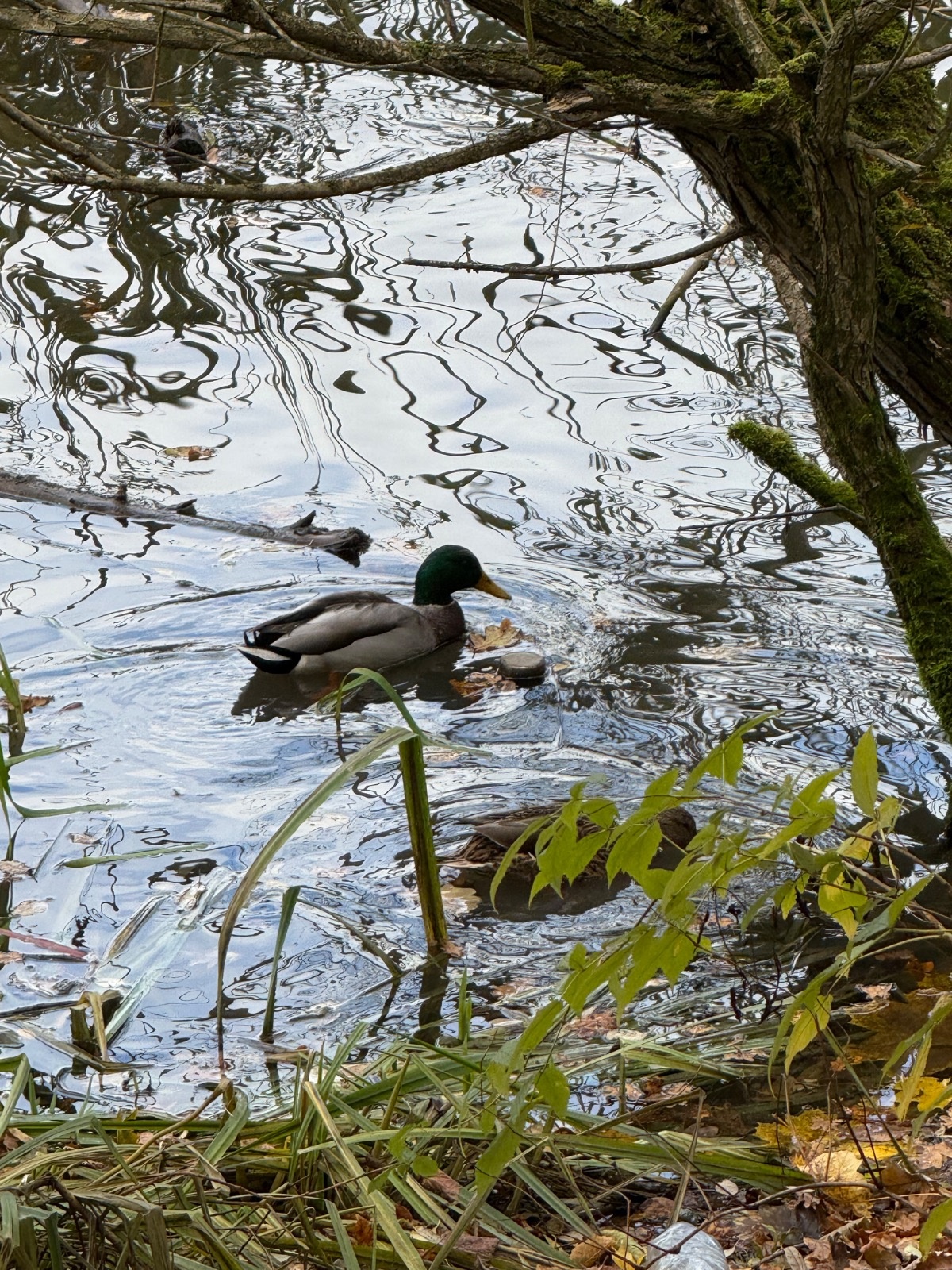 300d574e-58b6-4342-9771-e512ff5f2527