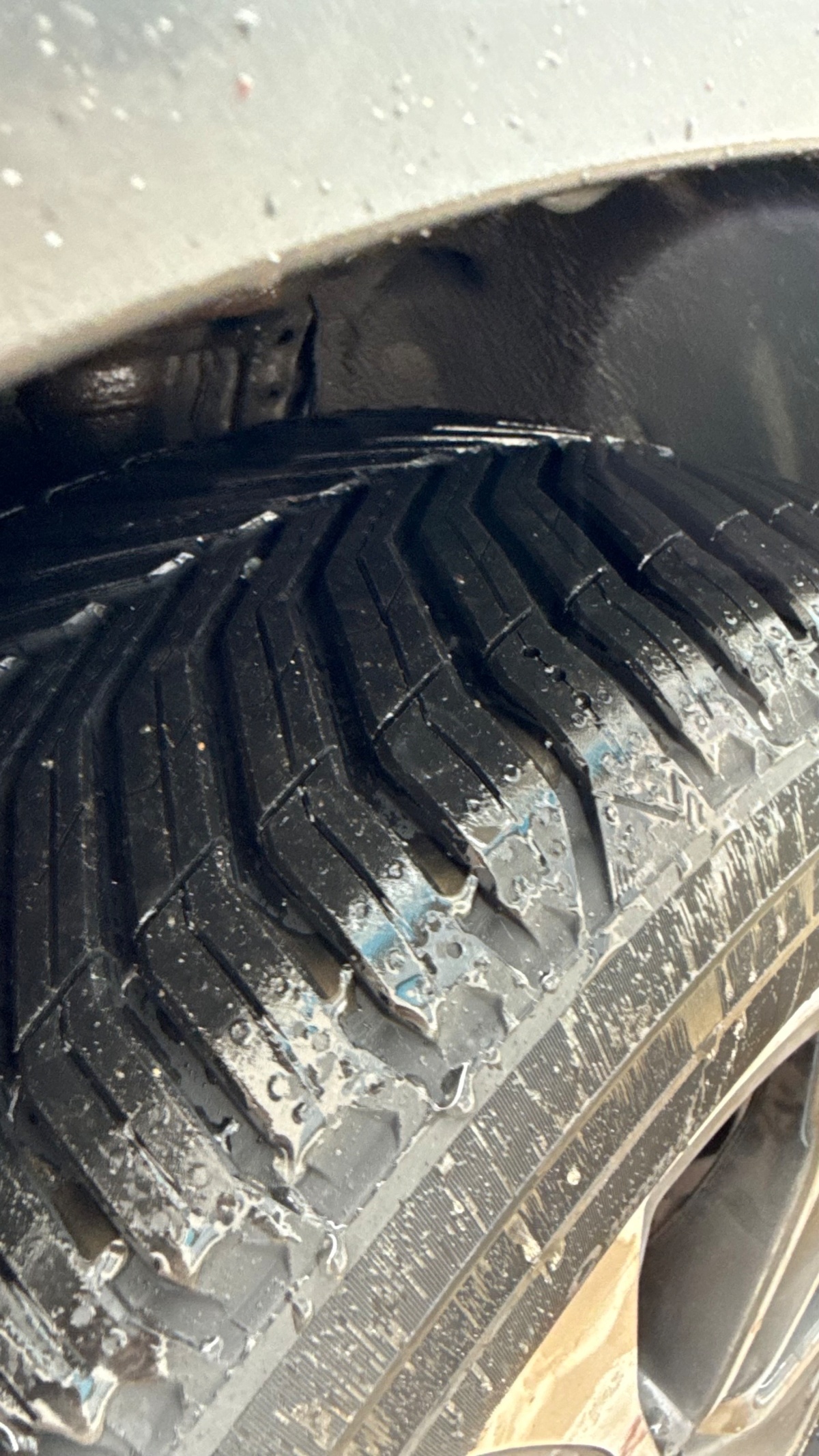 3e0340ed-064f-4005-b4b1-2b5166fb552a