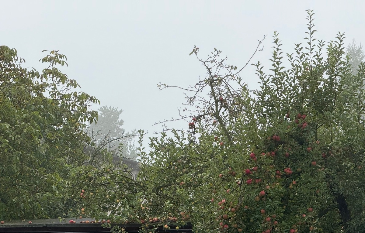 7cdc758d-02c7-46c9-a8b4-6027d8f204c5