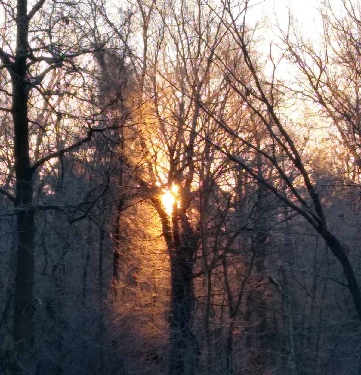 1dd13a46-4a4e-429e-95a6-447e2fdac5bb