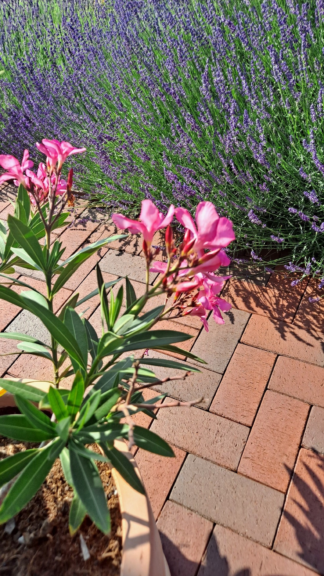 9db1b1e9-8642-4c0d-acd9-269718423f5c