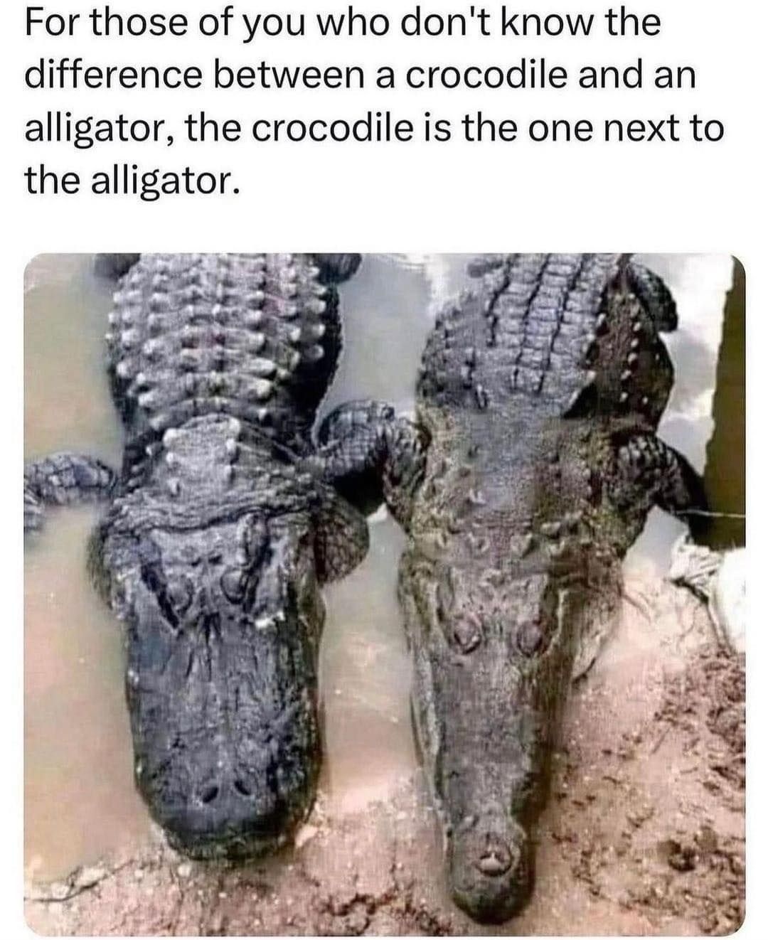 c5d4090b-8f54-4407-8c33-6b70a4c3bd9a