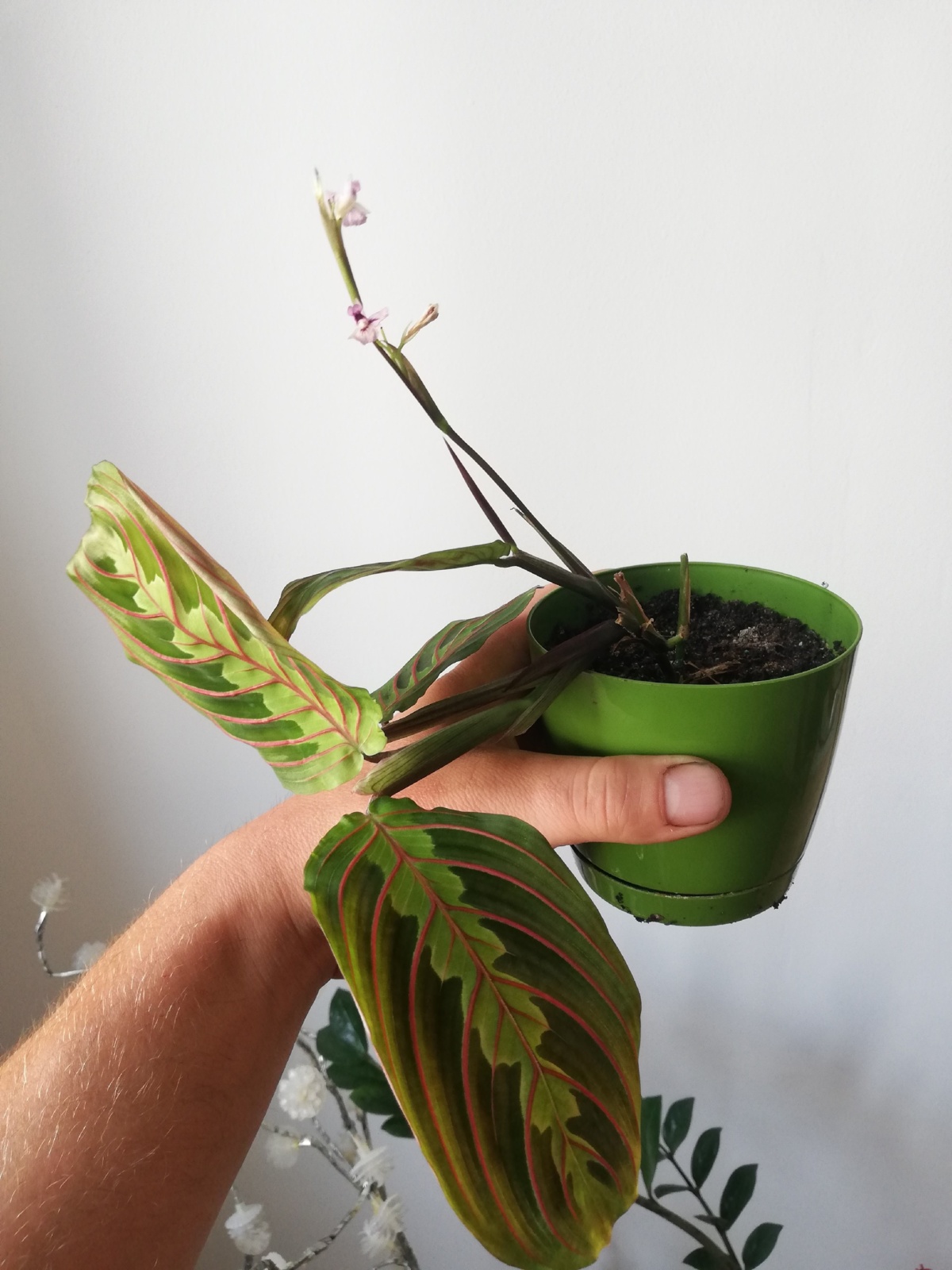 51625ed7-0db9-46df-a8af-030ea62e8fcb