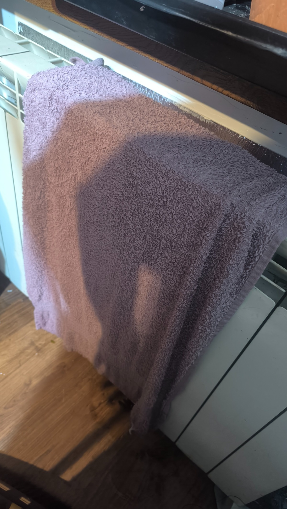 28970071-7598-4738-8f64-b33f48d6db6c