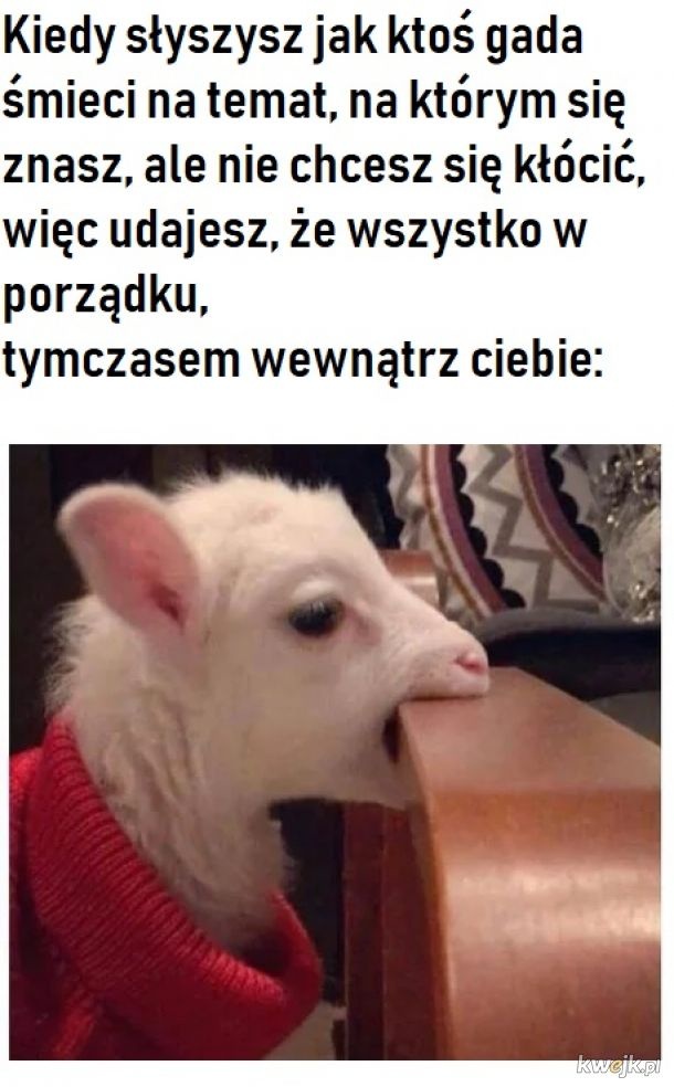 ba513719-3b7a-43d5-b88d-f35999a46f70