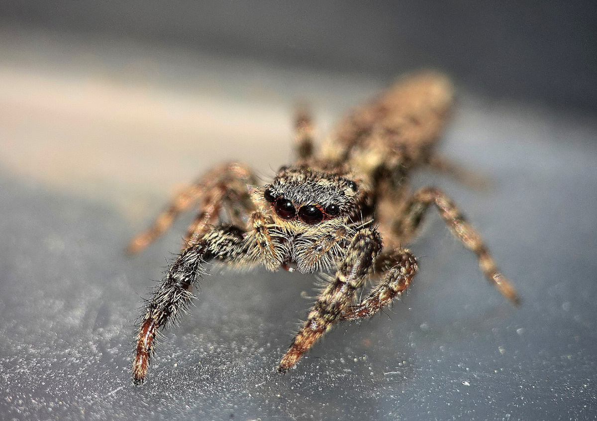 1427d159-8f6d-4db2-a63f-e052ddf95295