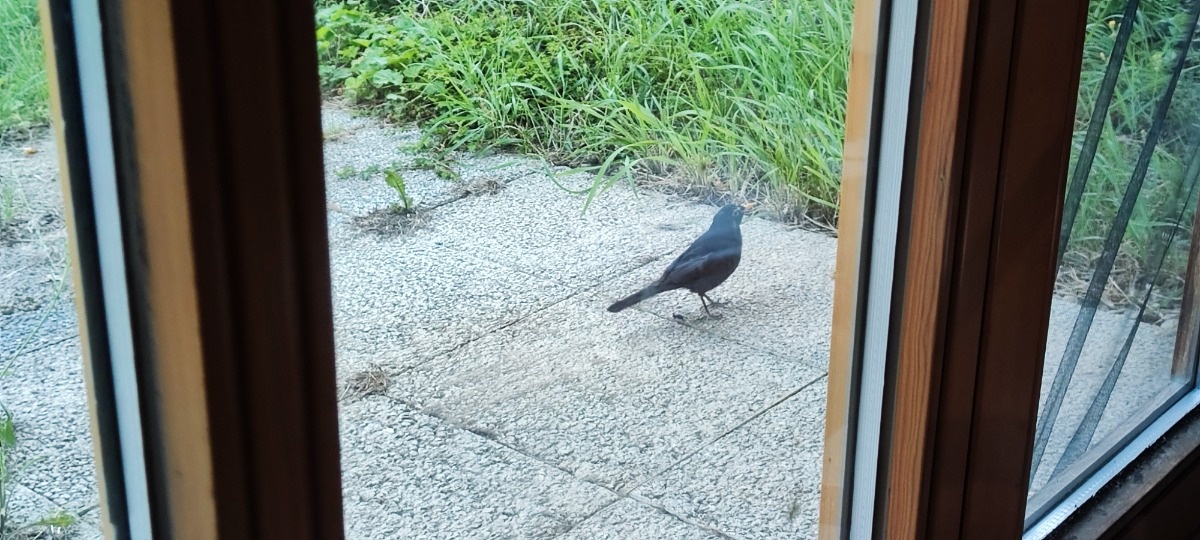 499301c2-455b-408e-bc00-46d13116dfbb