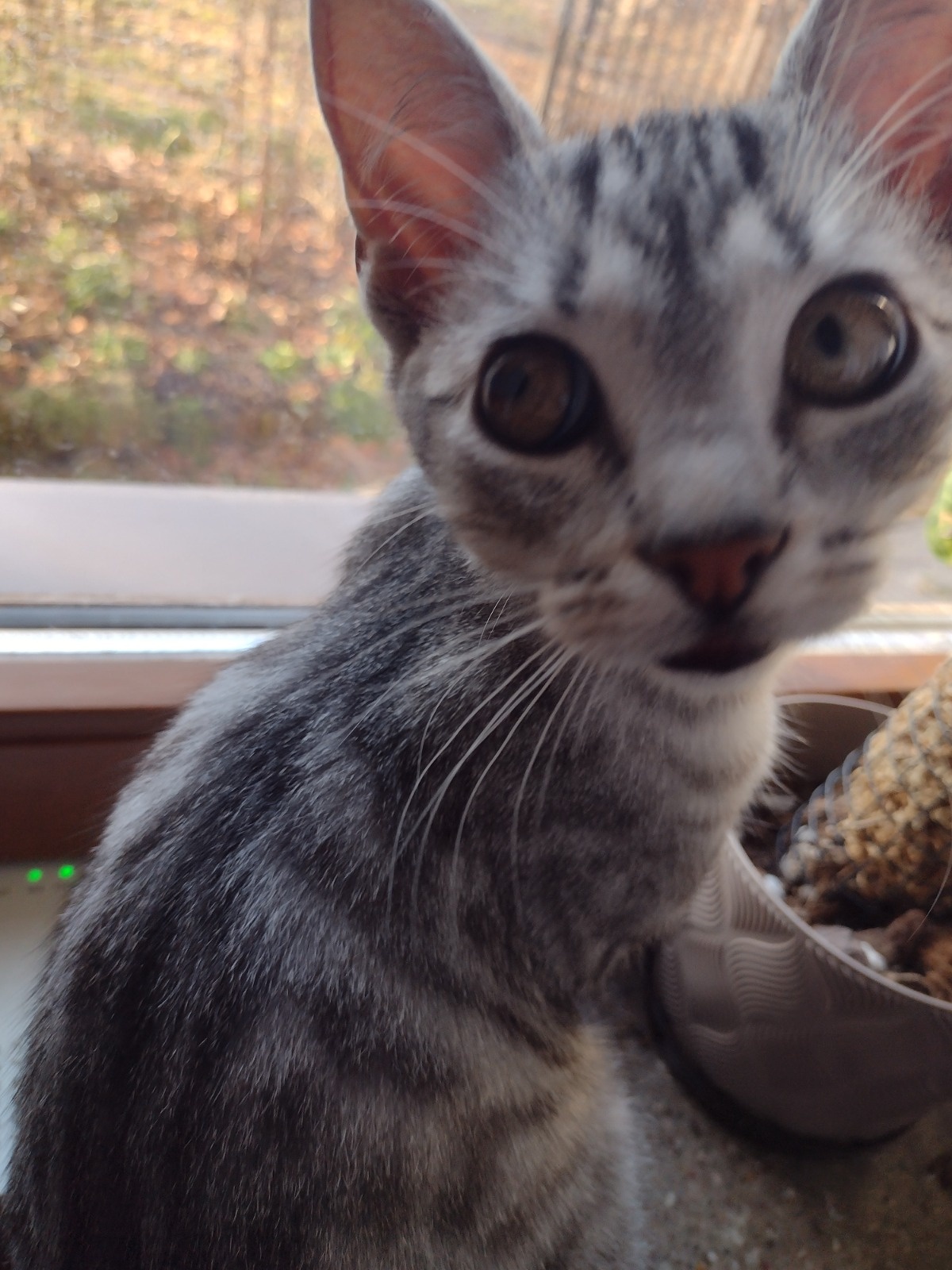 bb2ca02d-fc4c-4d97-a891-70a2c0eb53ba