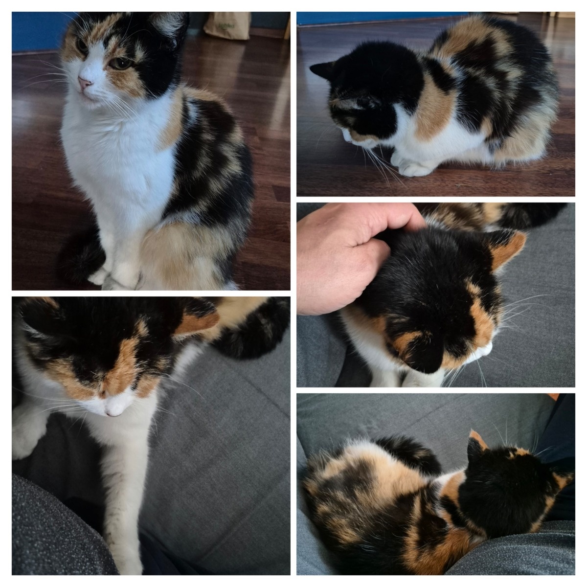 aef42cac-06e7-41bf-9c90-5c445e92f7df