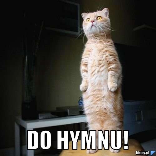 b28f6f39-1387-467c-b5a7-e30bd7e50ccb