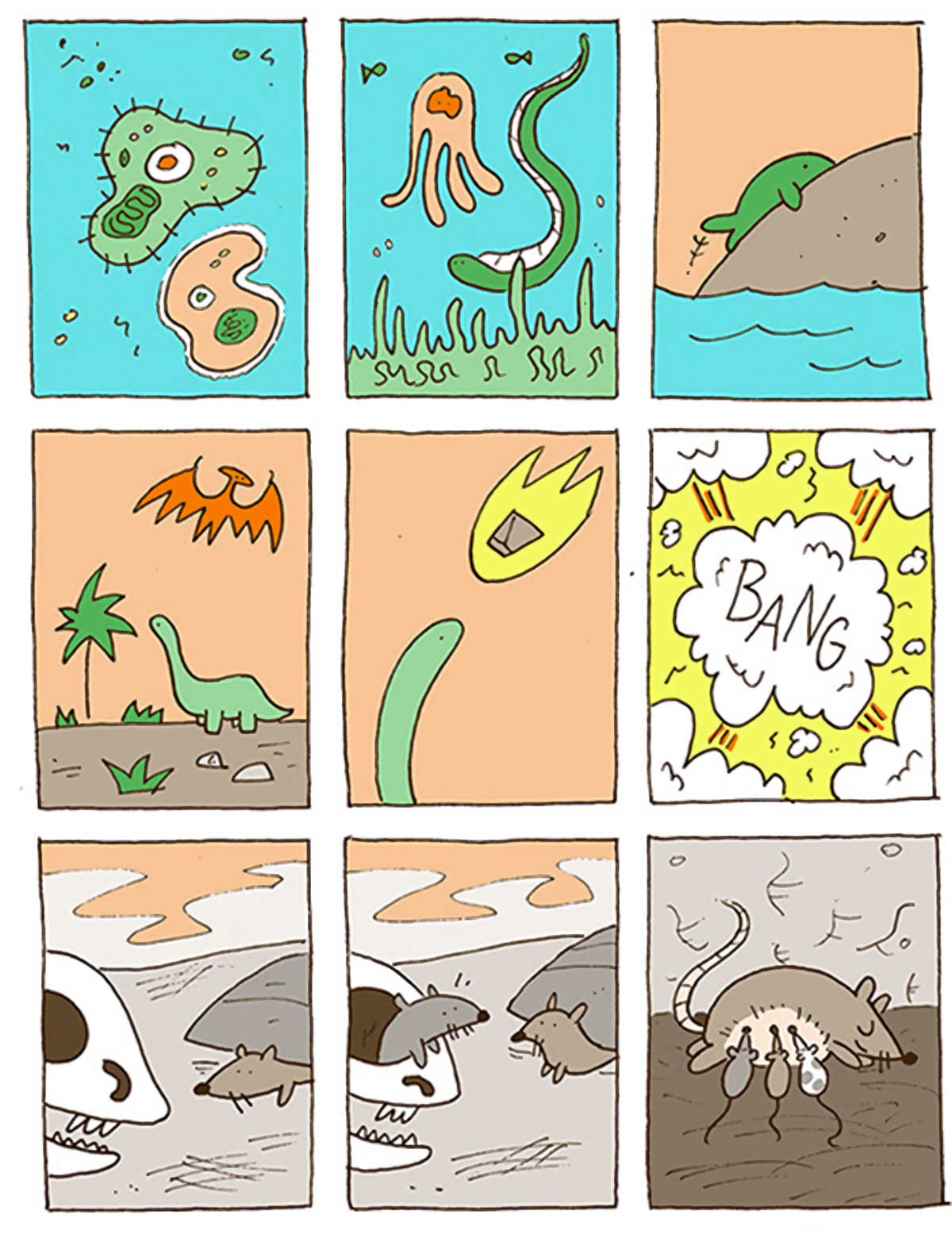 050e306f-b948-47fb-8fc0-72f083770e3b