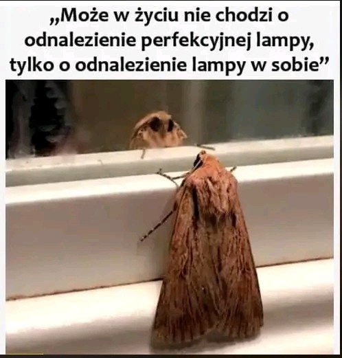 63a7c897-0e4b-4b9c-9a0b-3dd9d025658a