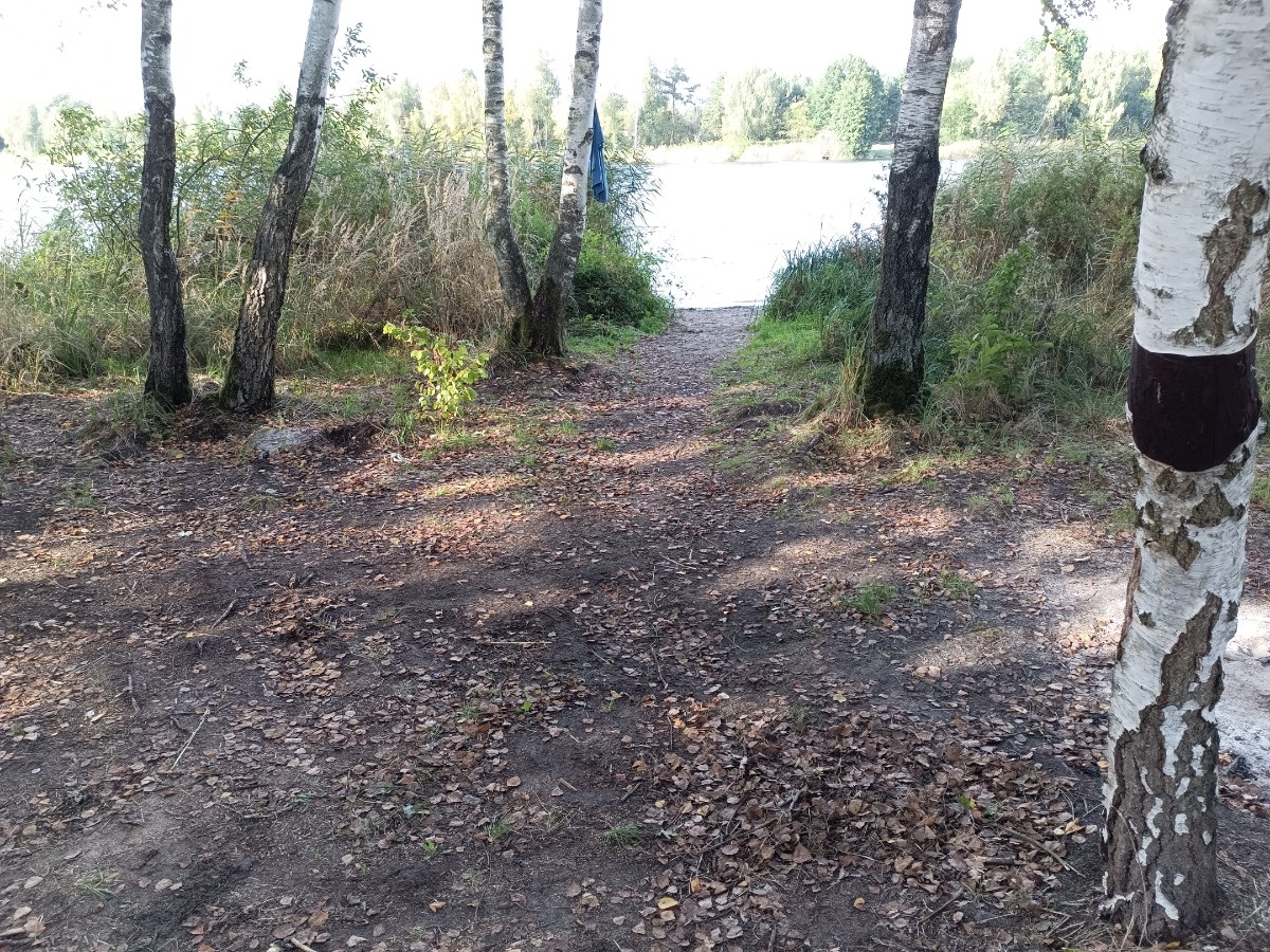 6d91d80e-dd04-4245-9a88-d4d9fbced607