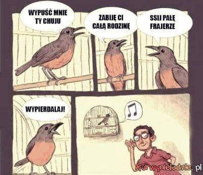 b20fe249-5cce-41a7-bb21-df50ee415c7b