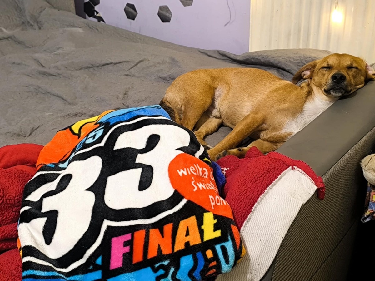 5210074b-9641-4b66-9513-653b831551a8