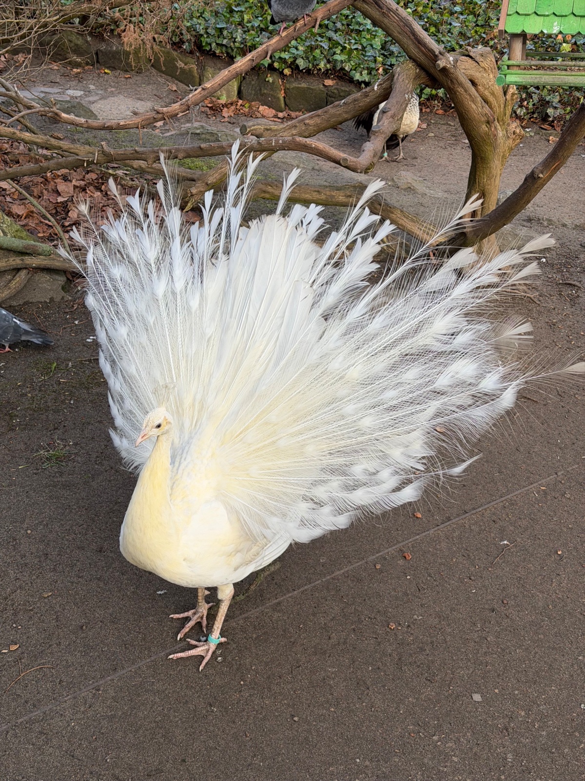 1b2b4b96-34a6-420f-b281-98d5881c91d3