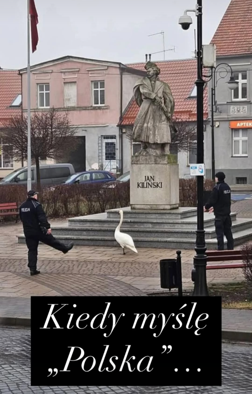 255370a7-d4d4-45c2-8eac-9d336f8e3328