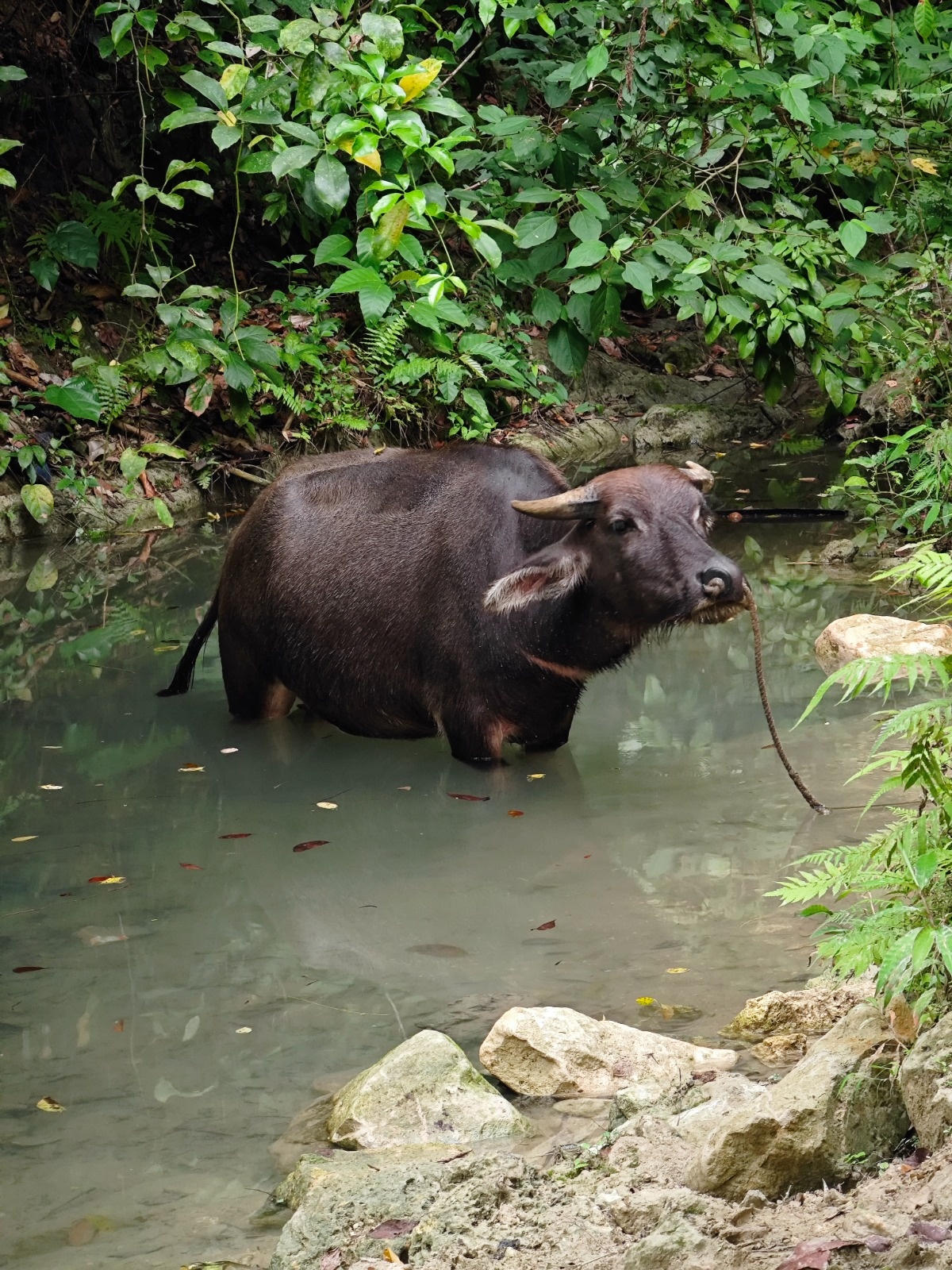 b217d5ca-ba96-464b-914d-479fd81bf961