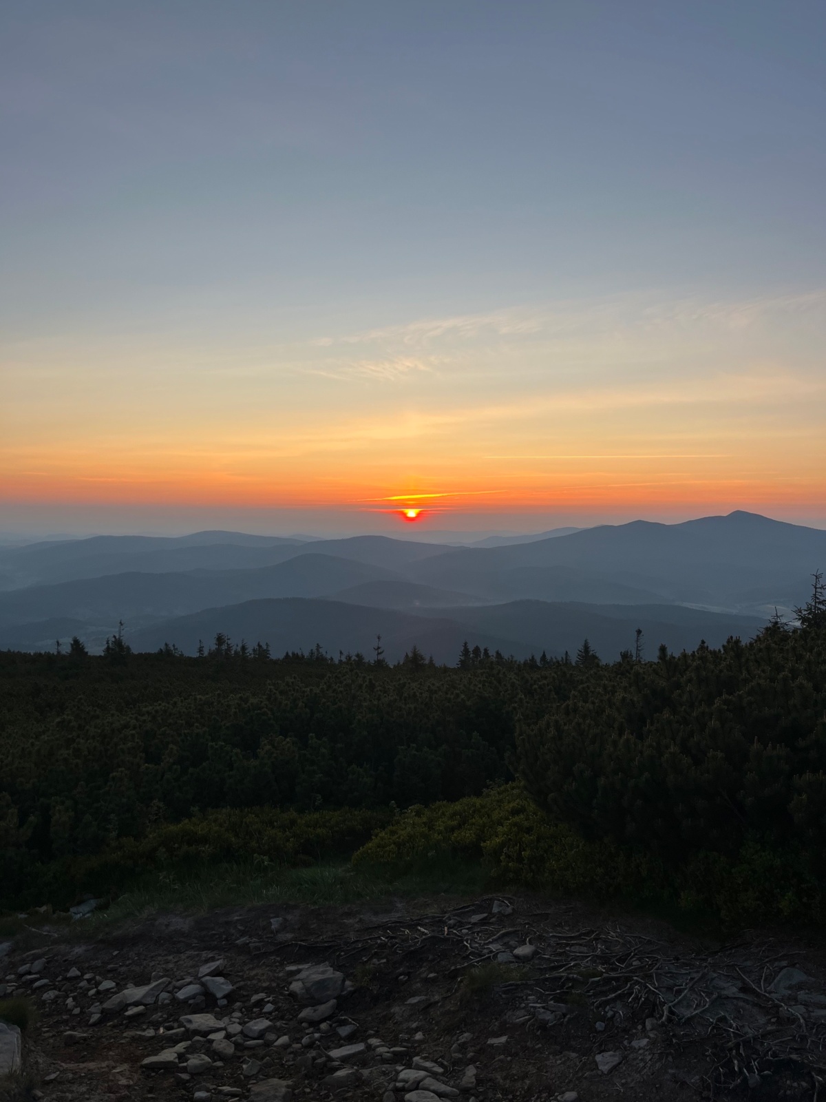 d185b4cd-da82-435b-8a69-2fc4bec8be19