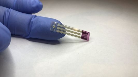 „Święty Graal” dla diabetyków wynaleziony przez naukowców