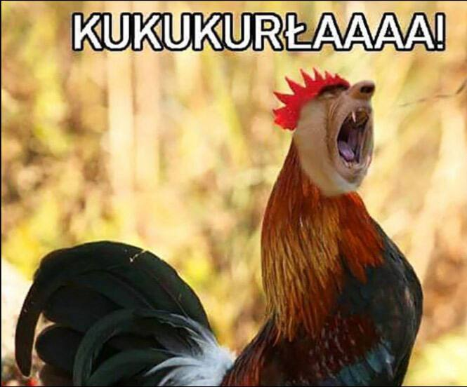 991f71c1-eba7-48ab-aeb2-2e7908d182de