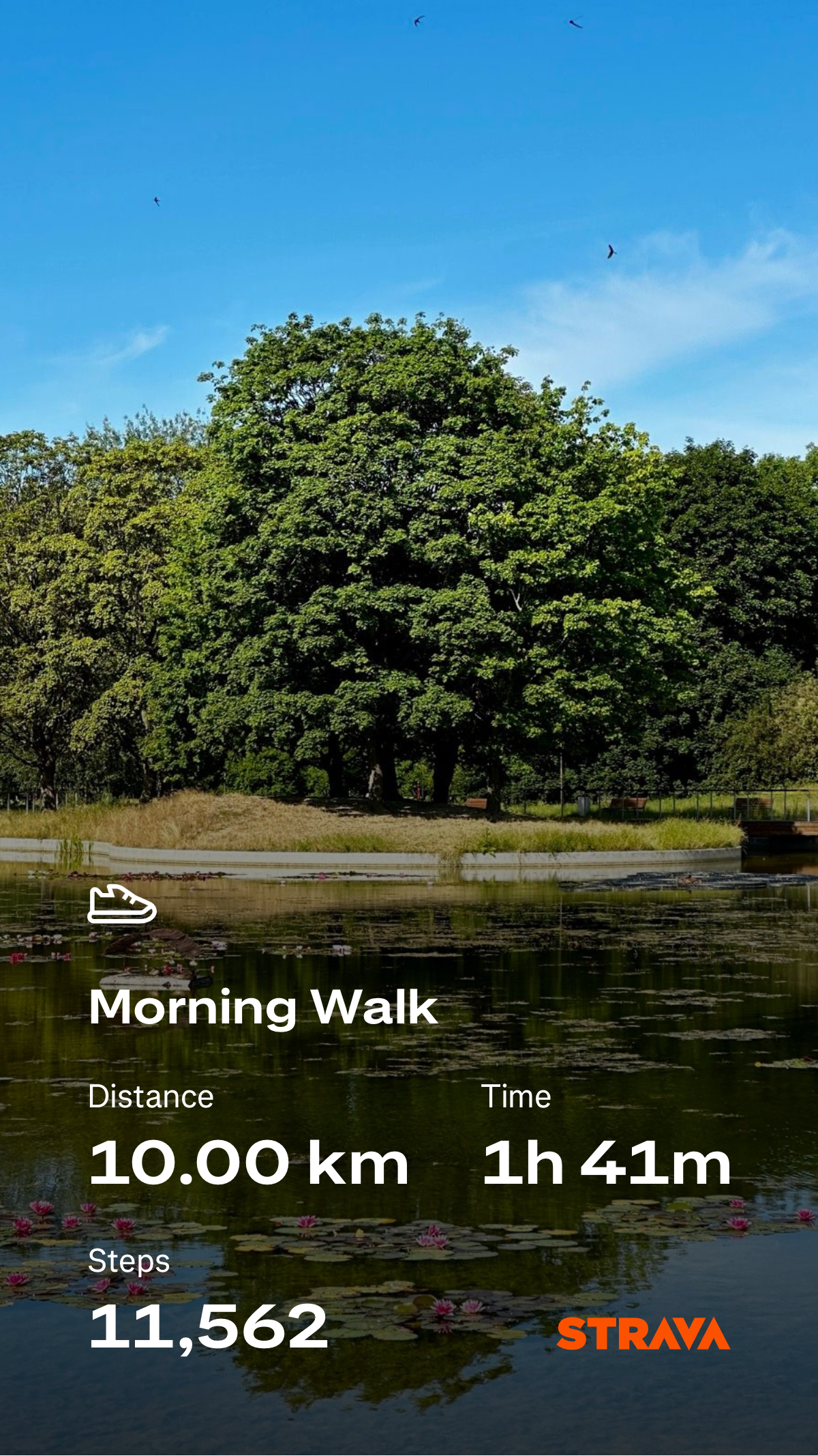 c7001128-aa95-41a7-a358-d8ca71575fc5