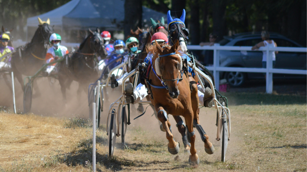 Biurokracja i regulacje osłabiają polskie firmy w rywalizacji na rynku UE