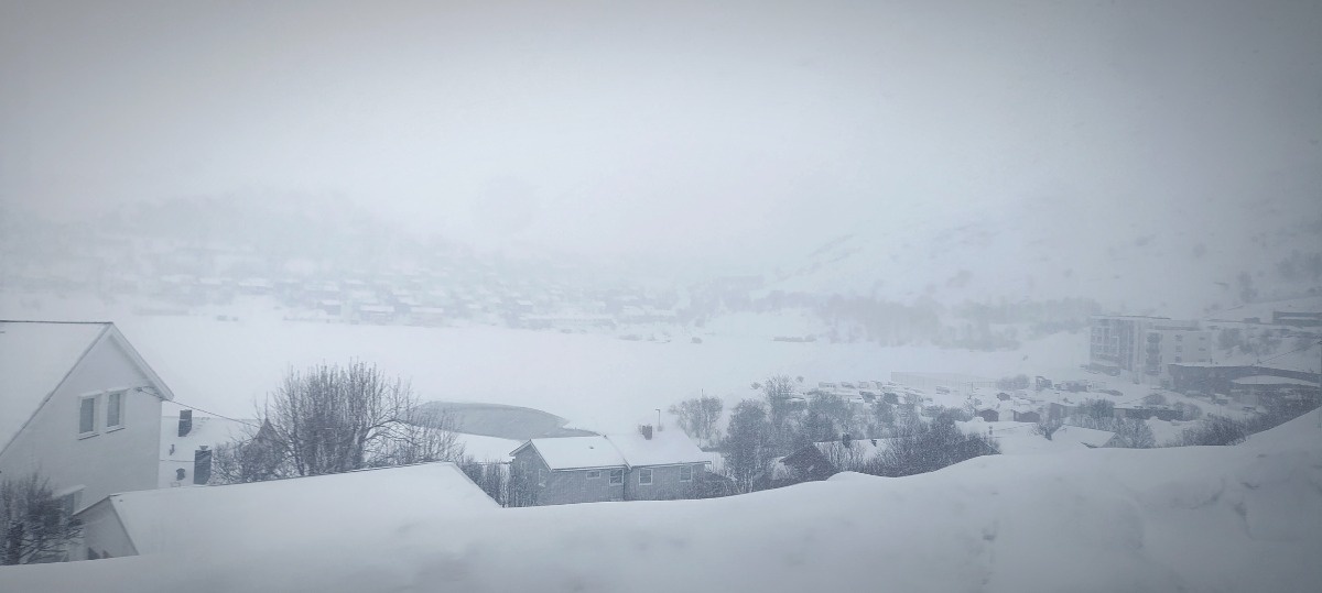 1a616d55-5e56-42c1-a8e4-561be286e255