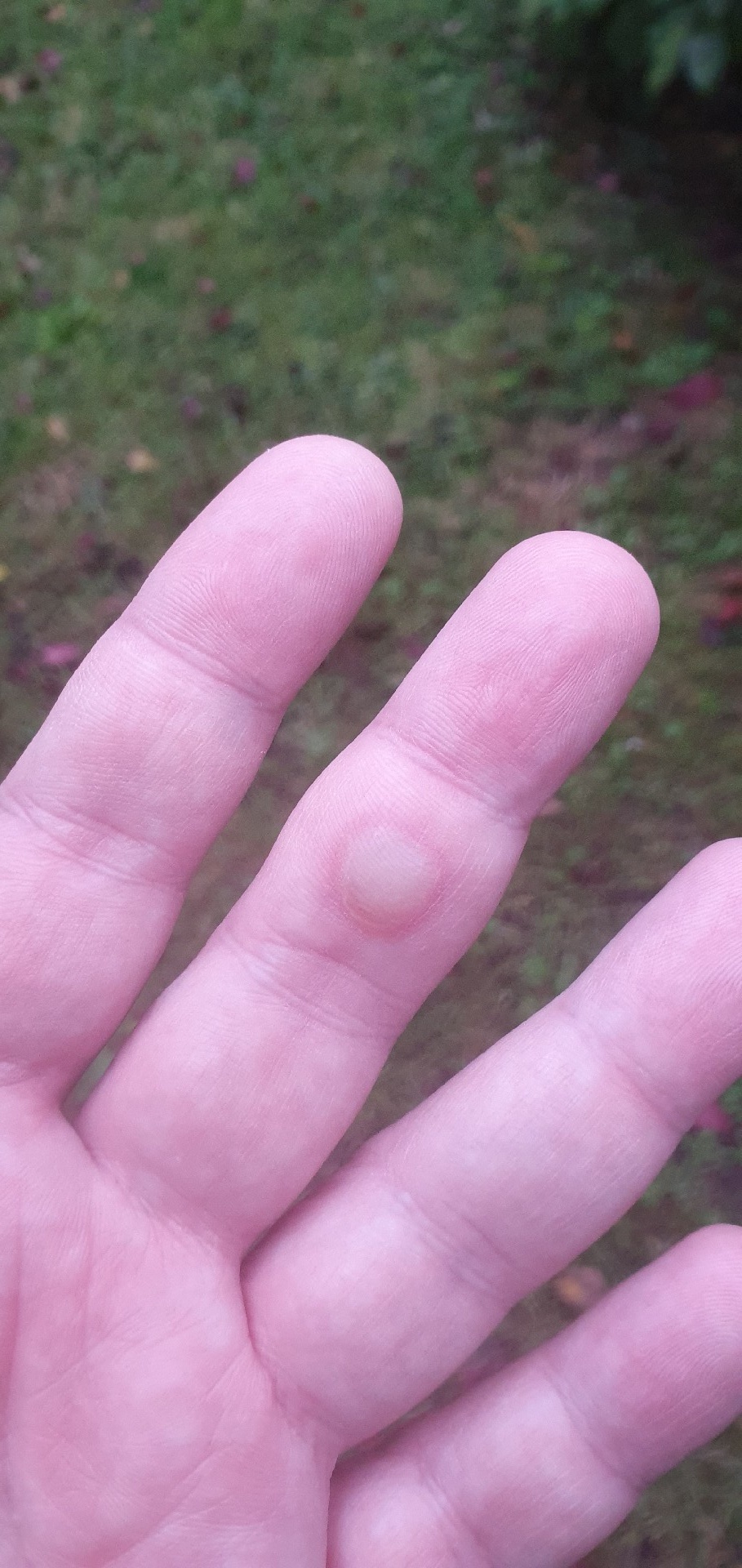 bf10bf9e-2c2f-499b-af51-c033dcc40923