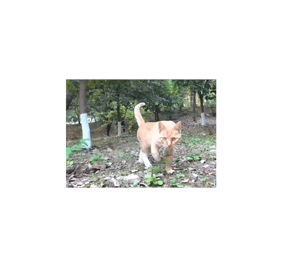 5829c281-511b-4fb1-b6c3-6b9d367ee1c7