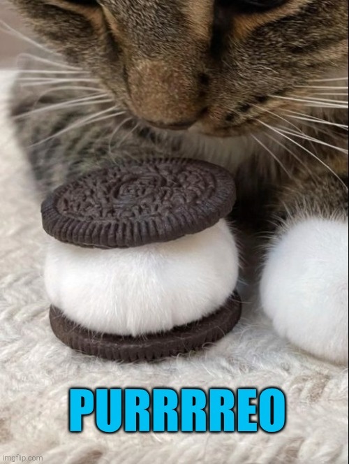 4eb0f6d5-b912-44ea-a6ab-211a82e136f2