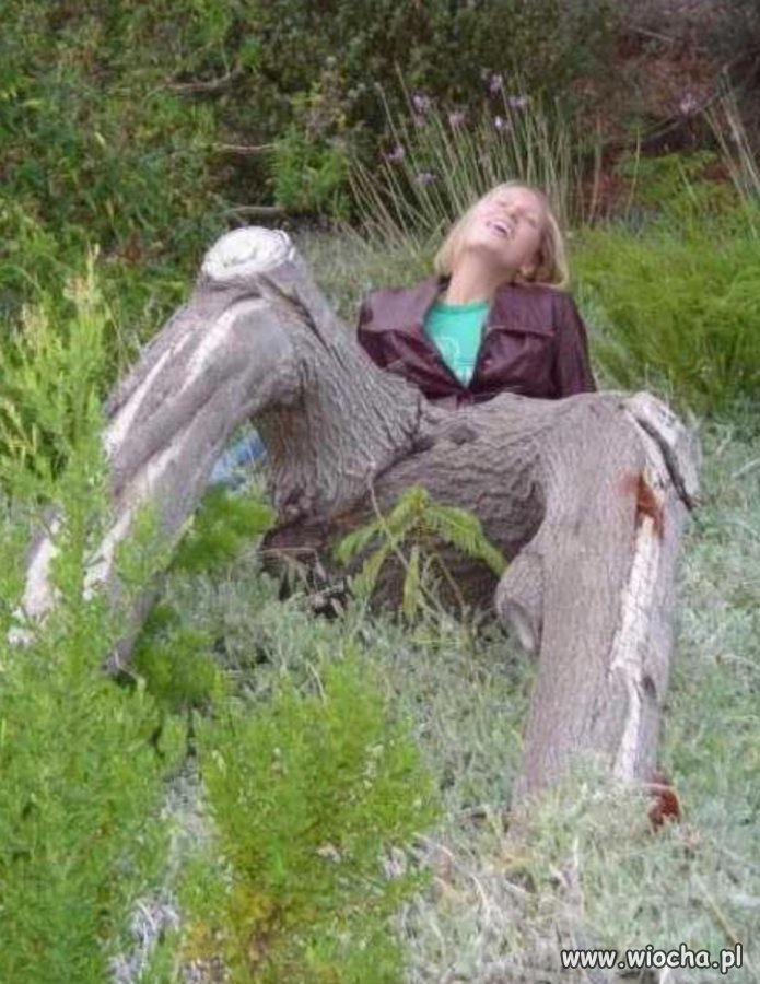 284c4fb3-e080-4c86-9d83-d254b2d2eb45