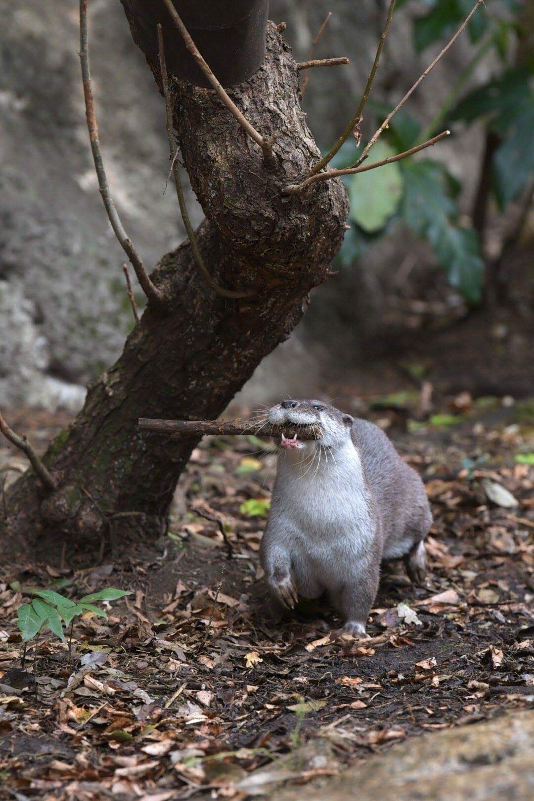 d9823e2d-afa4-4933-bd84-eced7ac3fa74