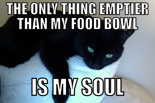 7cef99b5-5d59-4b6e-bd19-9a29362d754d