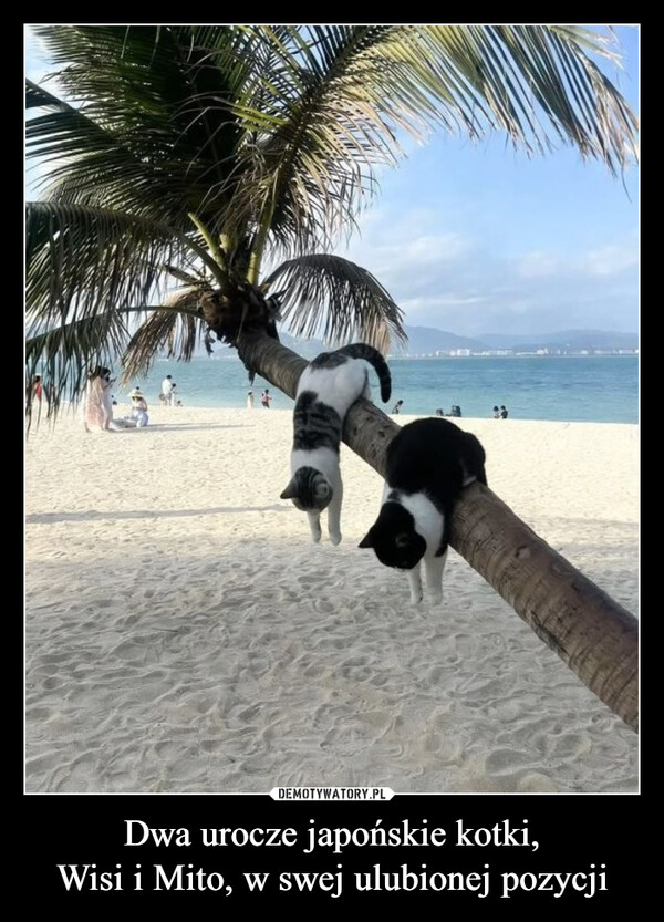 07afda76-91c8-48b2-80a4-08cc6796169c